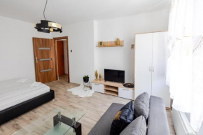 Gold Vision Apartment, Opole